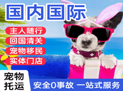 北海机场空运国际宠物托运 【国